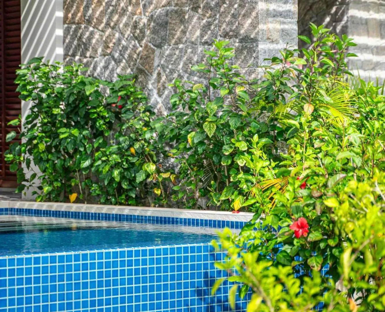 ****  Canopy By Hilton Seychelles Resort Anse a La Mouche Seychelles